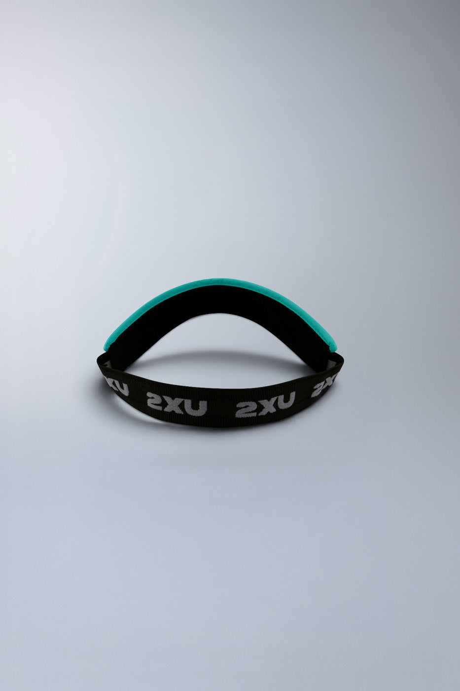 Performance Visor